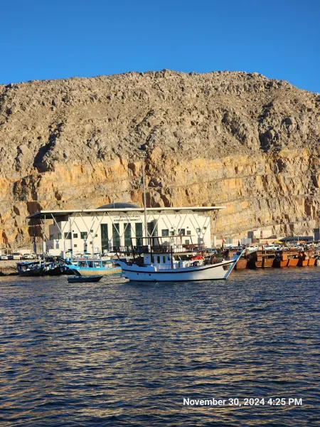 Chasing Dolphins & Desert Coastlines | Epic Musandam Tour