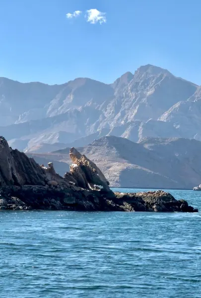 Chasing Dolphins & Desert Coastlines | Epic Musandam Tour