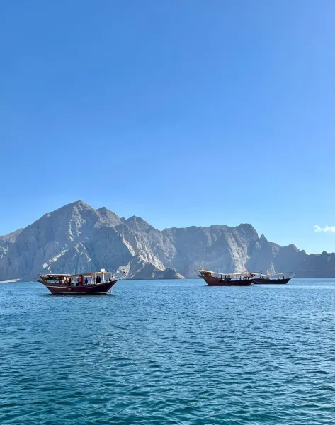 Chasing Dolphins & Desert Coastlines | Epic Musandam Tour