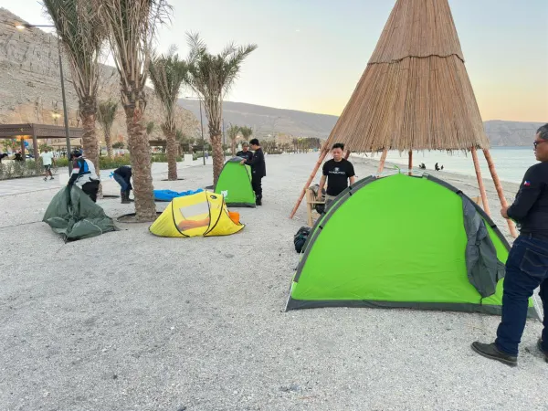 Chasing Dolphins & Desert Coastlines | Epic Musandam Tour