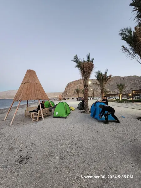 Chasing Dolphins & Desert Coastlines | Epic Musandam Tour