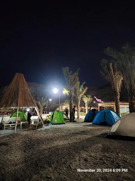 Chasing Dolphins & Desert Coastlines | Epic Musandam Tour