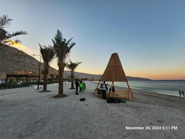 Chasing Dolphins & Desert Coastlines | Epic Musandam Tour